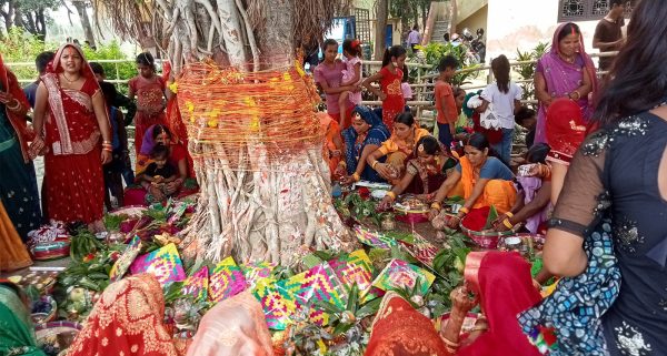 मिथिलाञ्चलमा वटसावित्री पर्व मनाइँदै