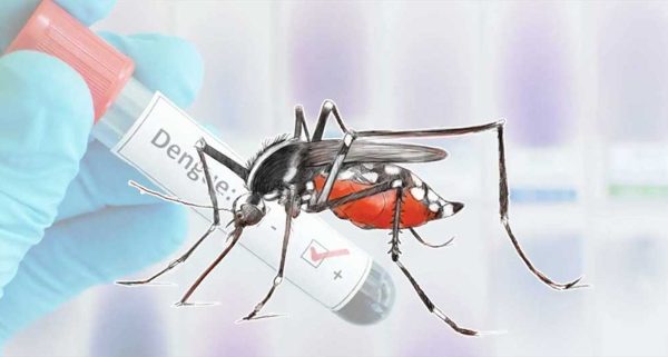 बागलुङमा सात सय ९८ जनामा डेङ्गु सङ्क्रमण