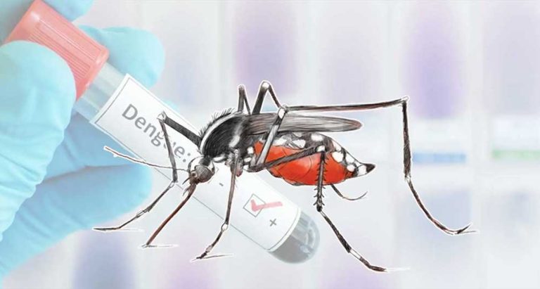 बागलुङमा सात सय ९८ जनामा डेङ्गु सङ्क्रमण